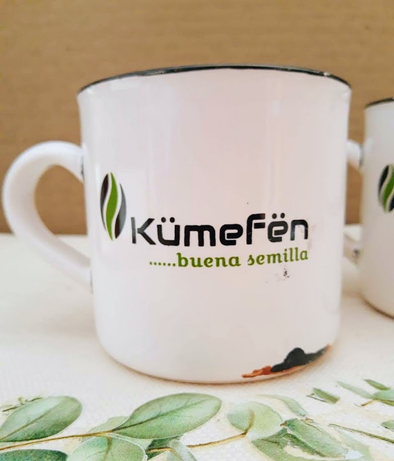 Calco vitrificable Kumefen